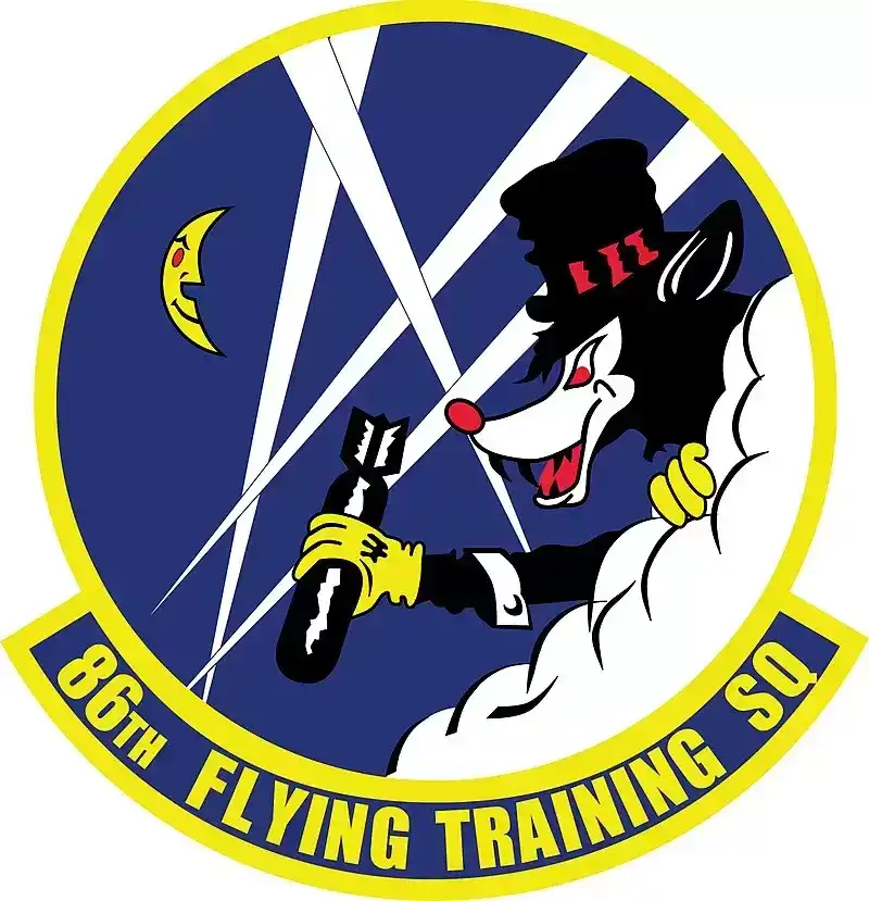 美国空军各类标识：空军第19军（上）