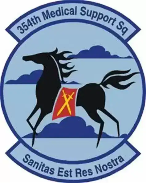 美国空军各类标识：空军第11军