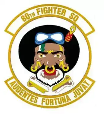 美国空军各类标识：空军第七军