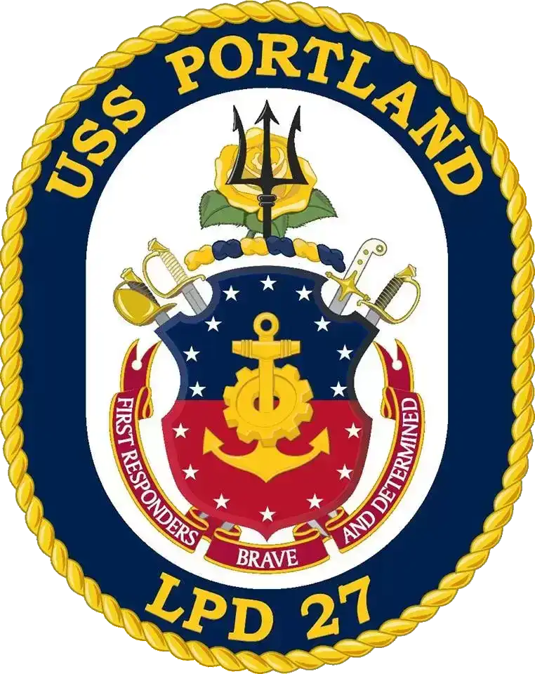 美国海军各类标识：航母、两栖舰徽章