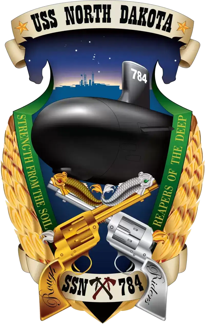美国海军各类标识：潜艇的徽章（下）