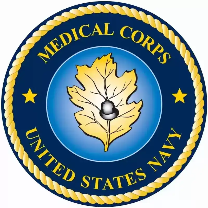 美国海军各类标识（二）：各辅助部队