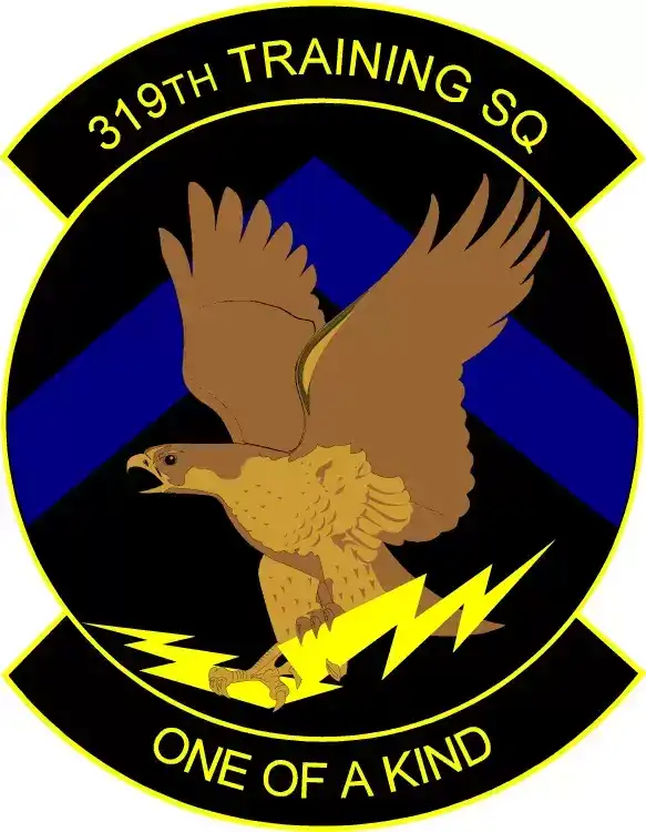 美国空军各类标识：空军第二军