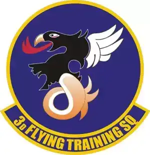 美国空军各类标识：空军第19军（下）